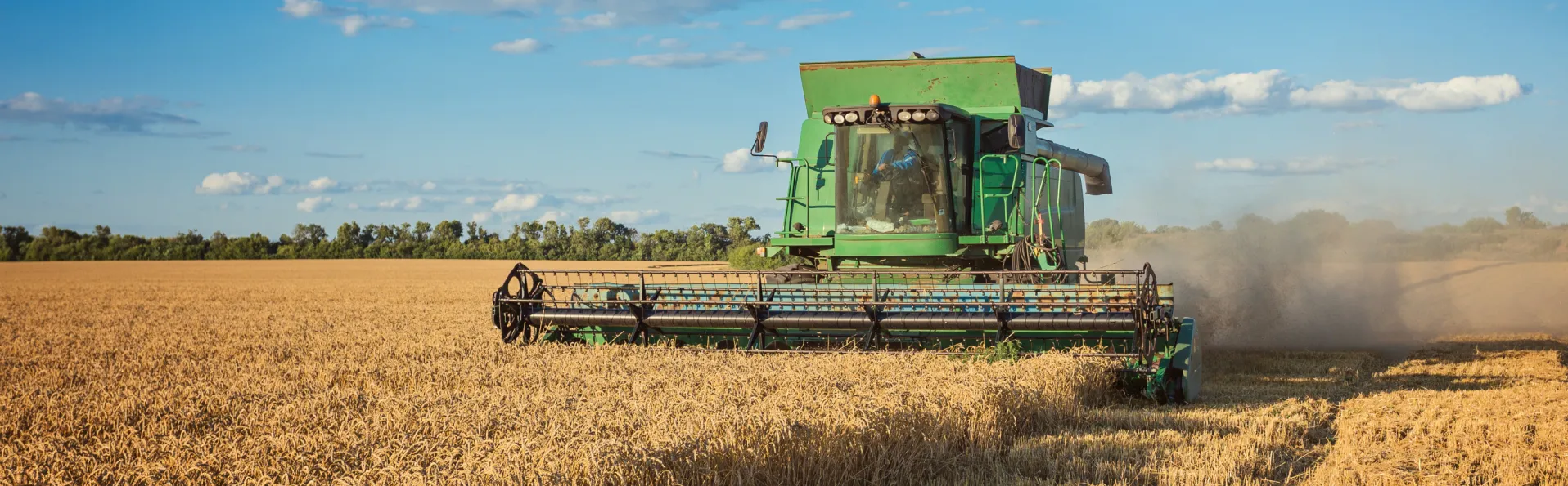 Agricultura aumenta hasta 100.000 euros el tope de ayudas para la incorporación de jóvenes en el campo.