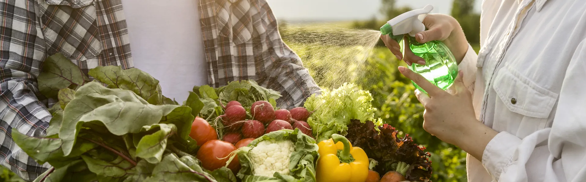 Cómo saber si una oferta de trabajo es falsa