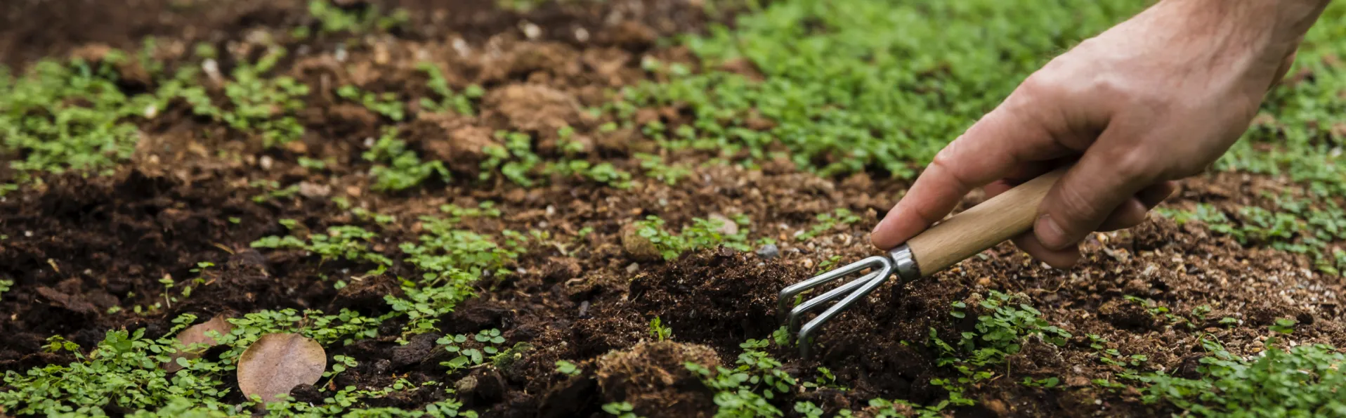 El paro en la agricultura se reduce respecto a meses anteriores