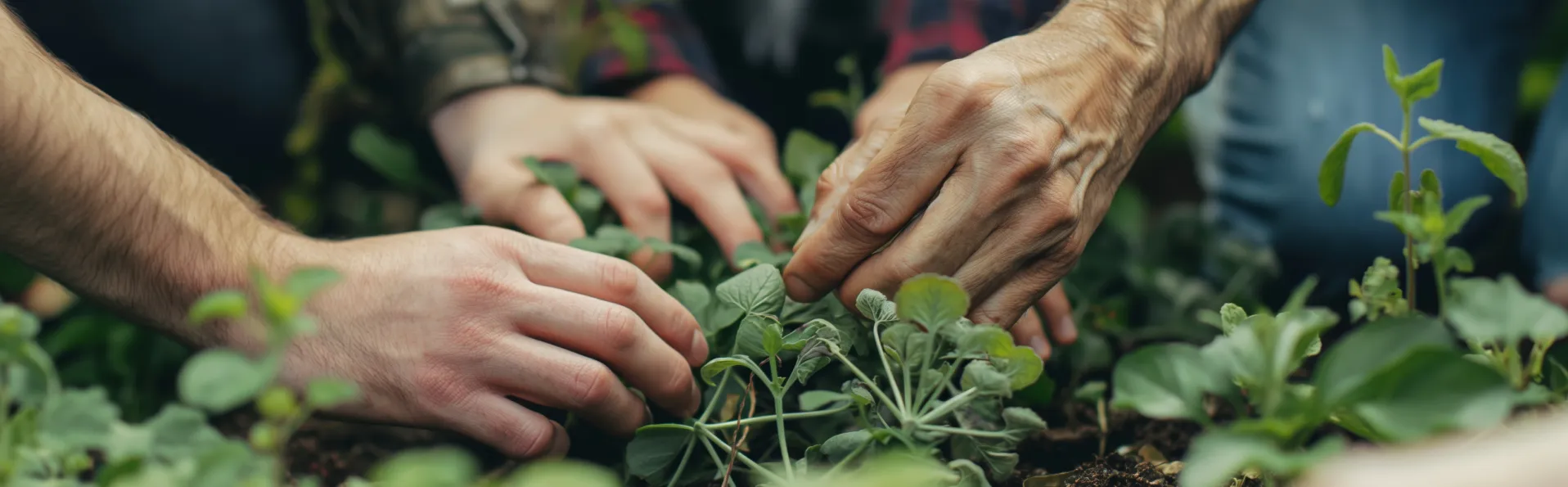 La agricultura ecológica crece un 12% en España