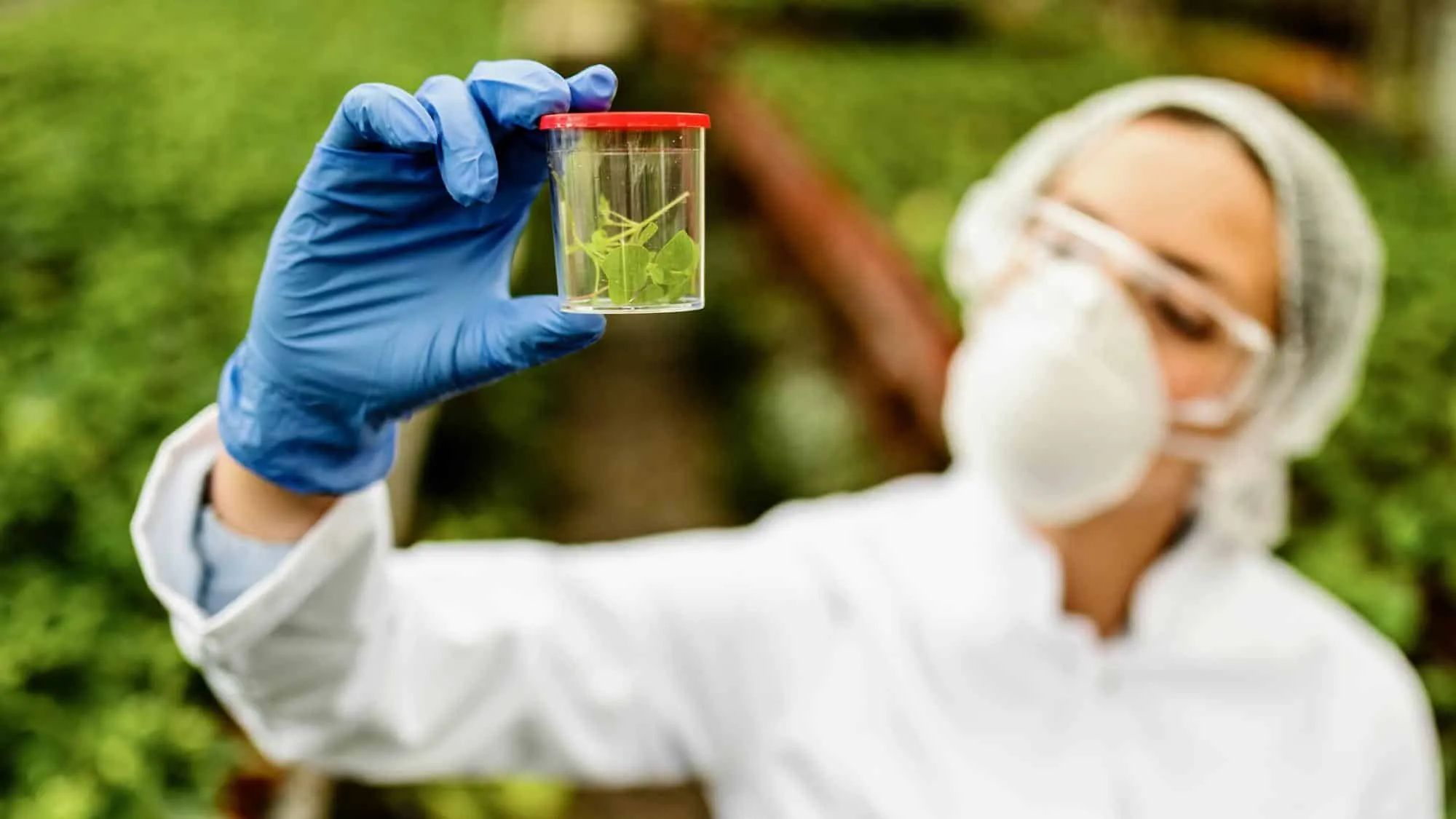 Control Biológico de Plagas: Qué es y por qué es clave para la agricultura sostenible