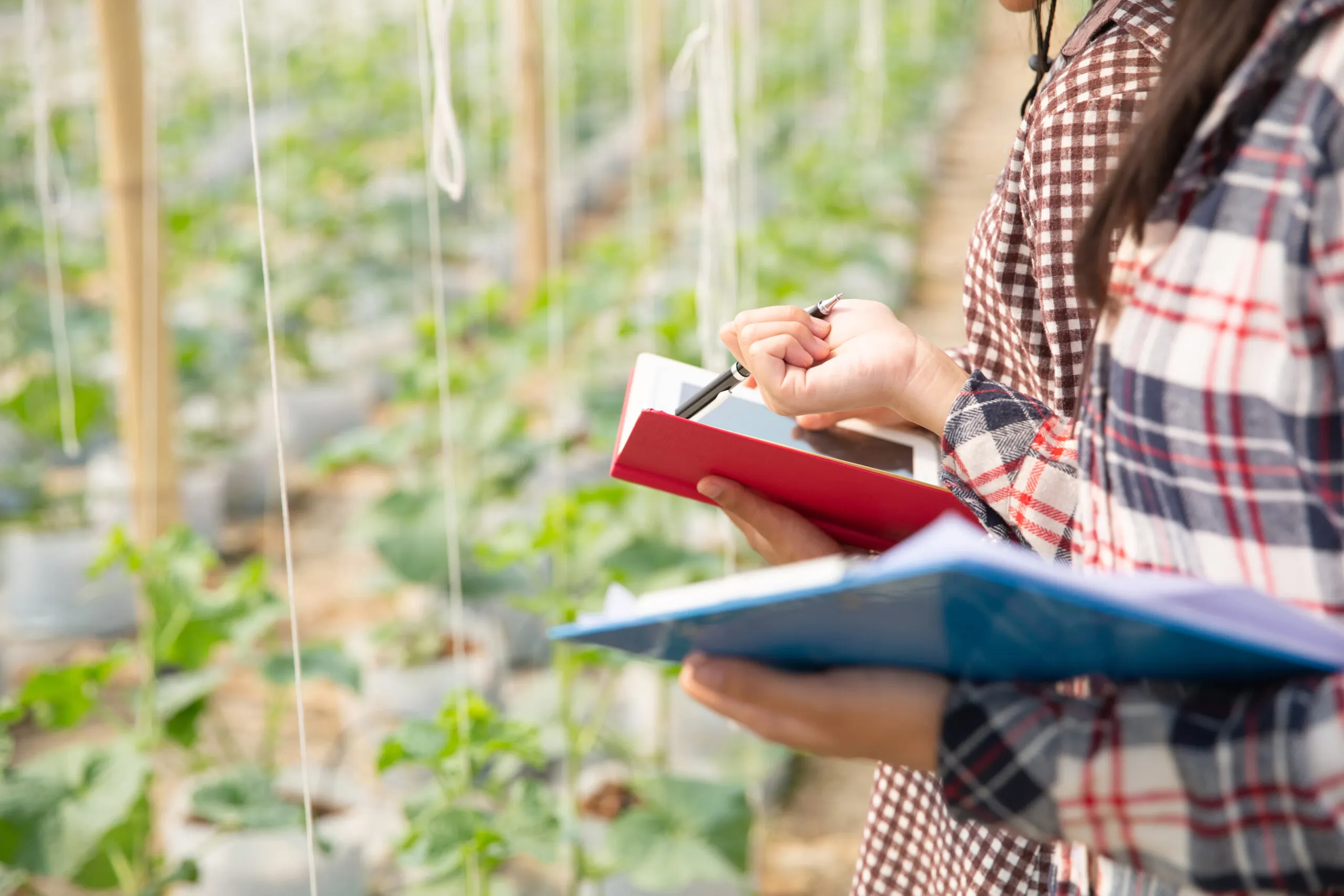 El empleo agrícola en España ha cambiado, te explicamos como adaptarse.