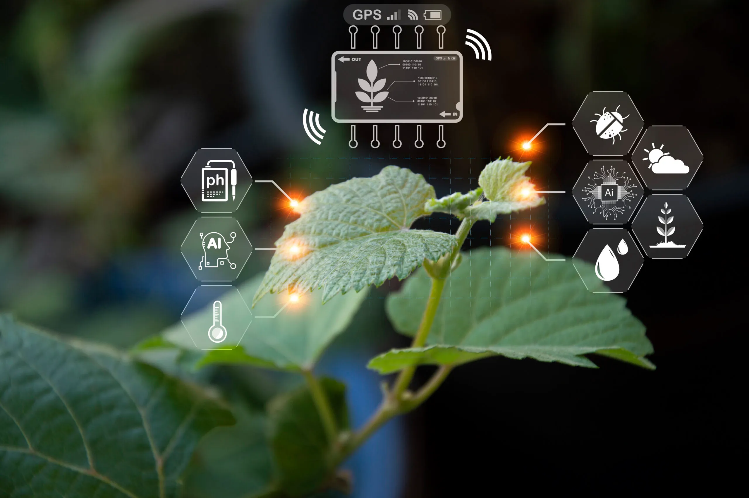 Inteligencia artificial en agricultura