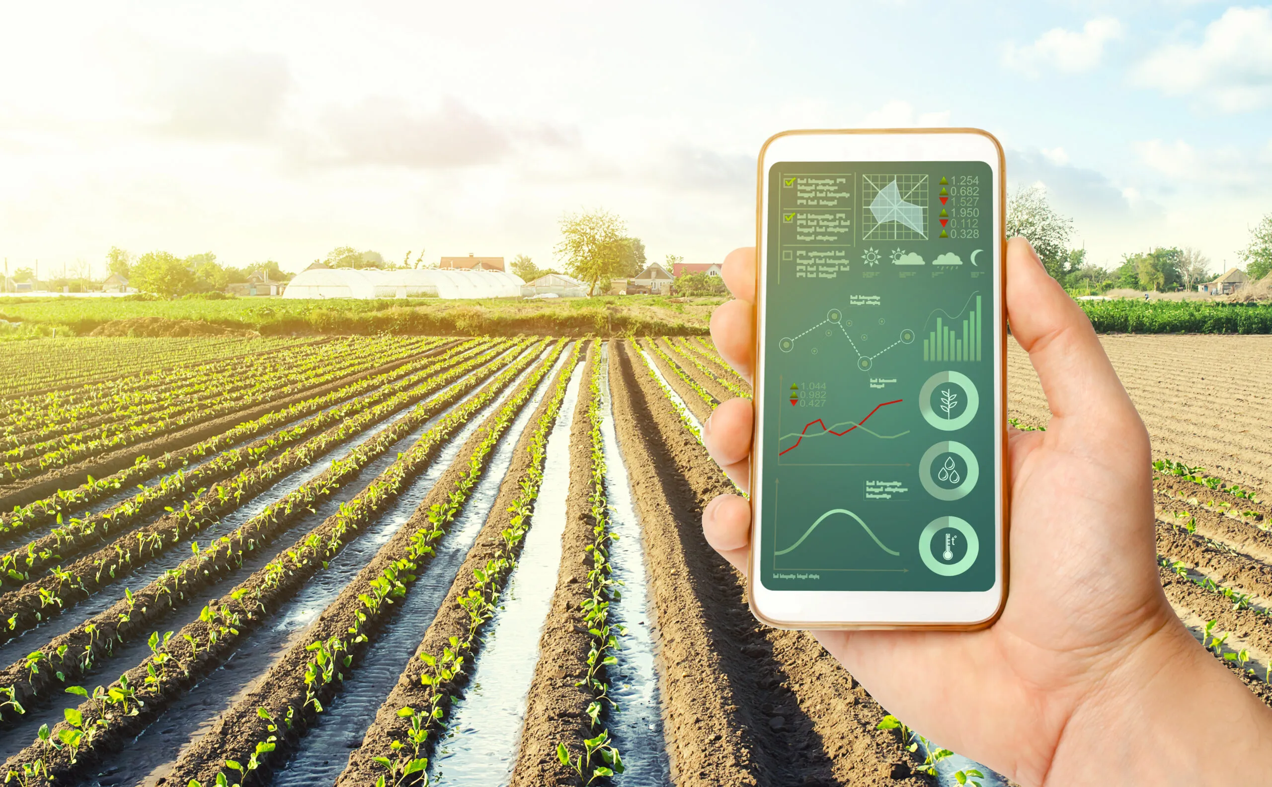 Agricultura de Precisión: Revolucionando el Futuro del Campo