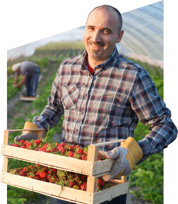 Trabajador en una nave agrícola