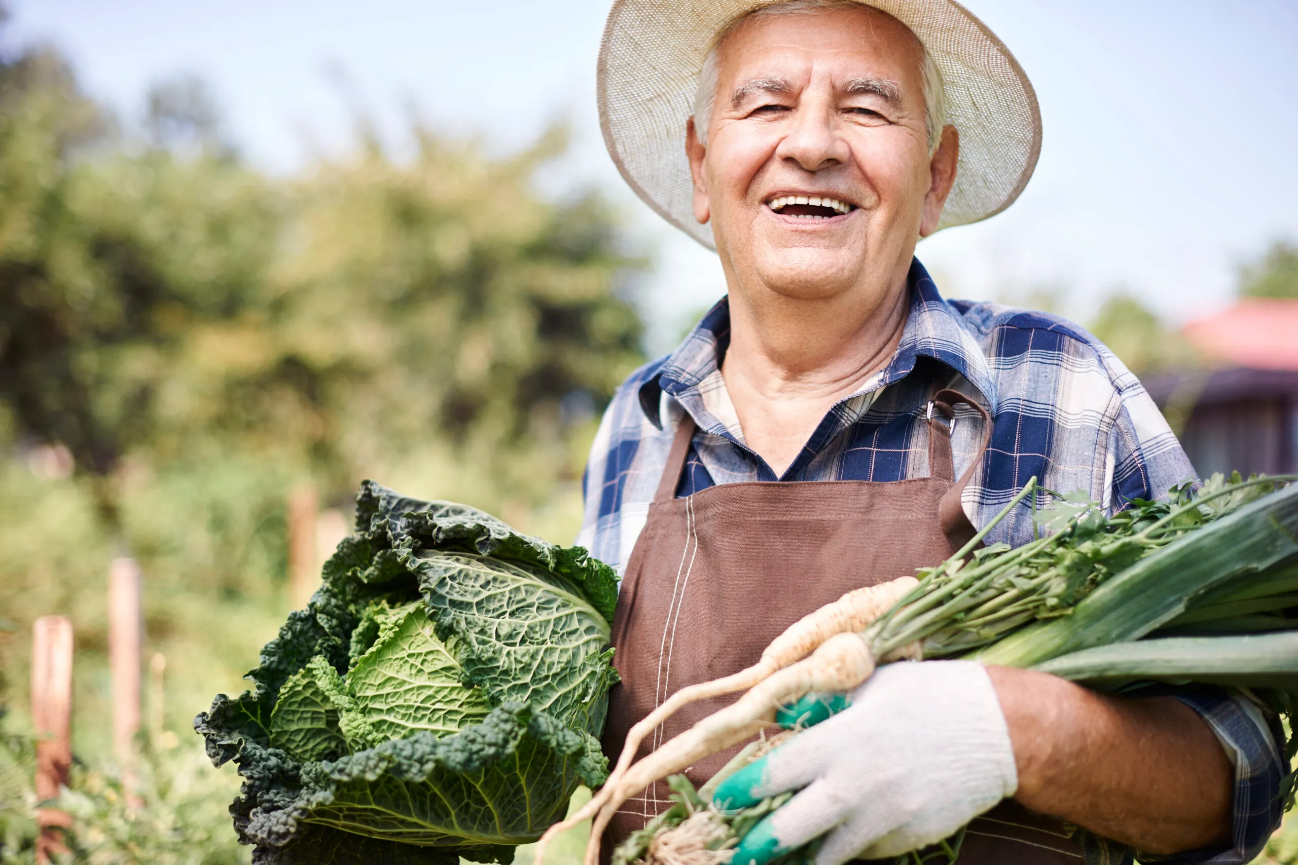 Día Internacional de la Agricultura 2025: celebrando a quienes trabajan la tierra.