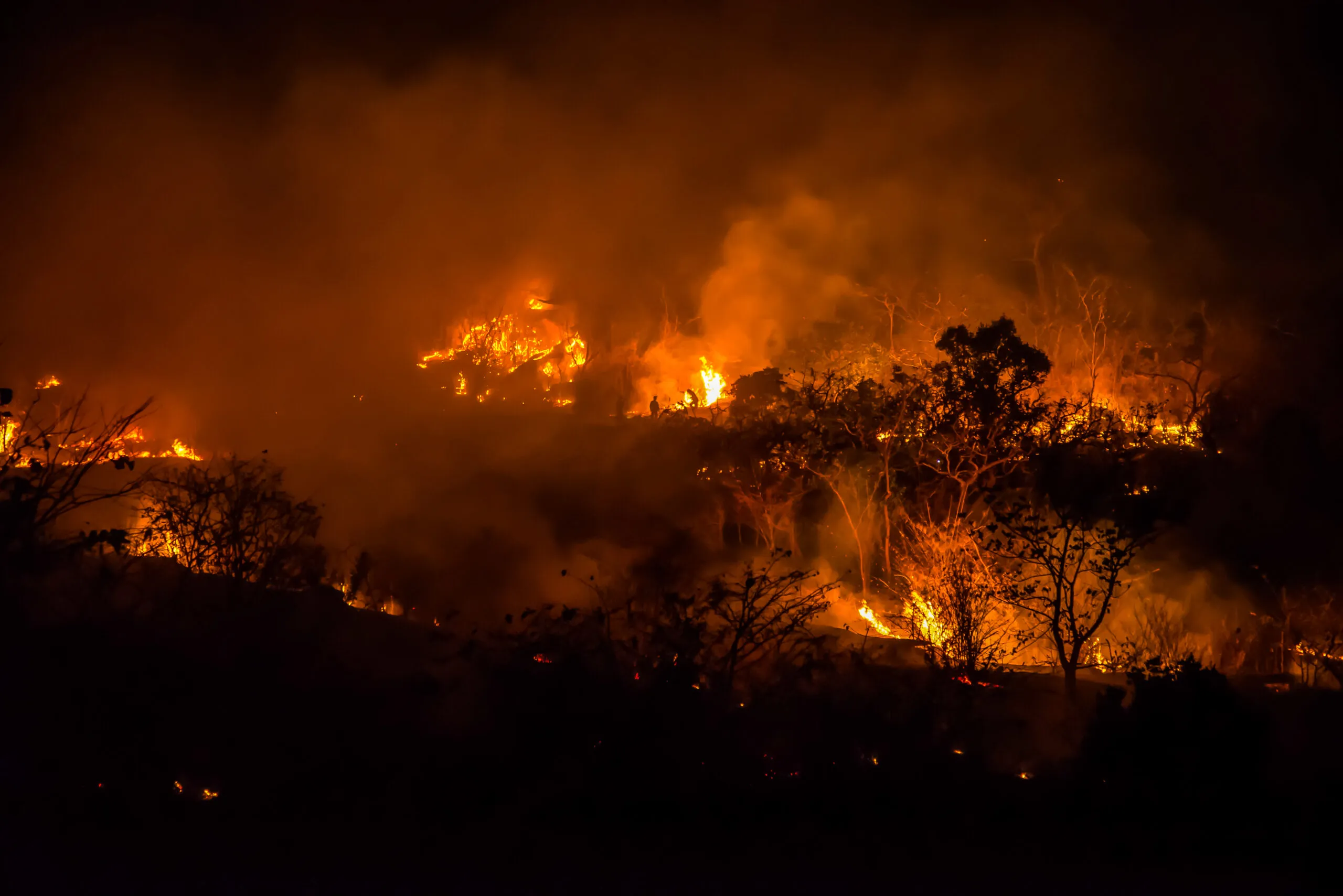 ¿Cómo afectan los incendios actuales a la agricultura en nuestro país?