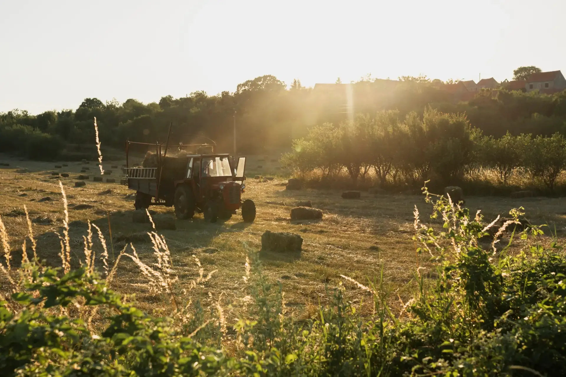 La maquinaria agrícola moderna que necesitas