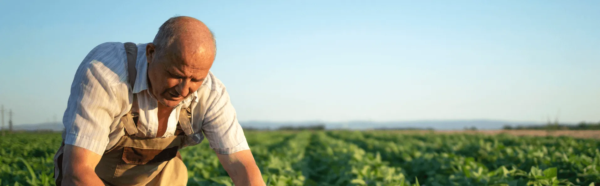 Luis Planas revisa con el presidente de SAECA las opciones de financiación y avales para el sector agroalimentario y pesquero