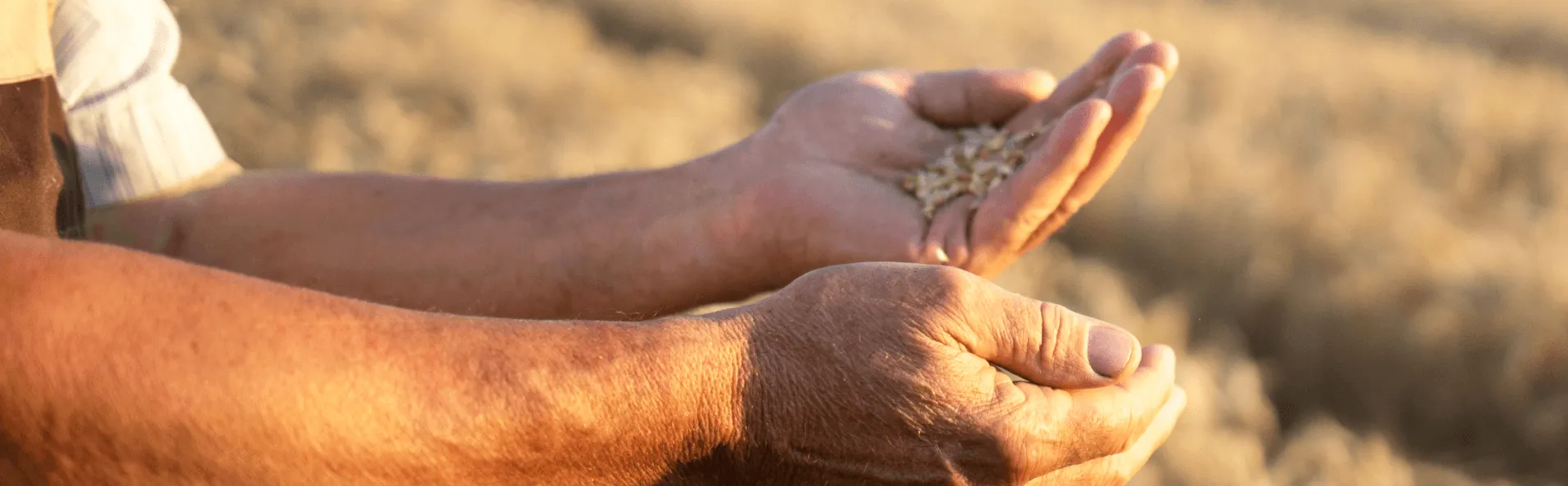 Agricultura y OPAs tienen una primera reunión para volver a la normalidad a la que le seguirá otra en septiembre de mayor “profundidad”.