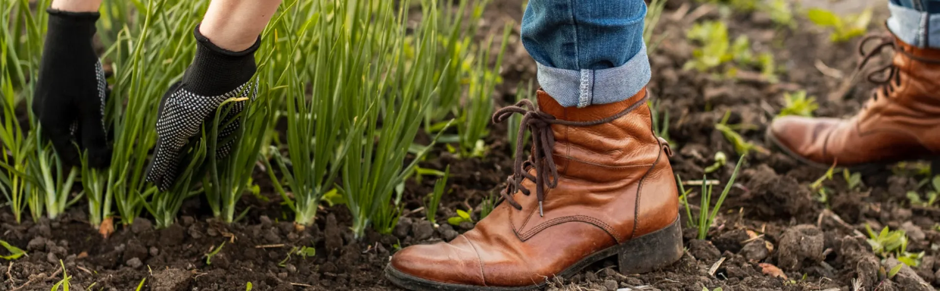 Derechos laborales de los jornaleros: lo que debes saber