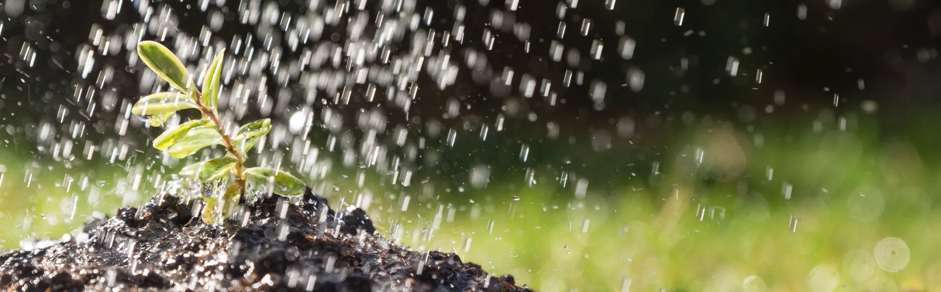 Aumento de sistemas de regadío en el campo español
