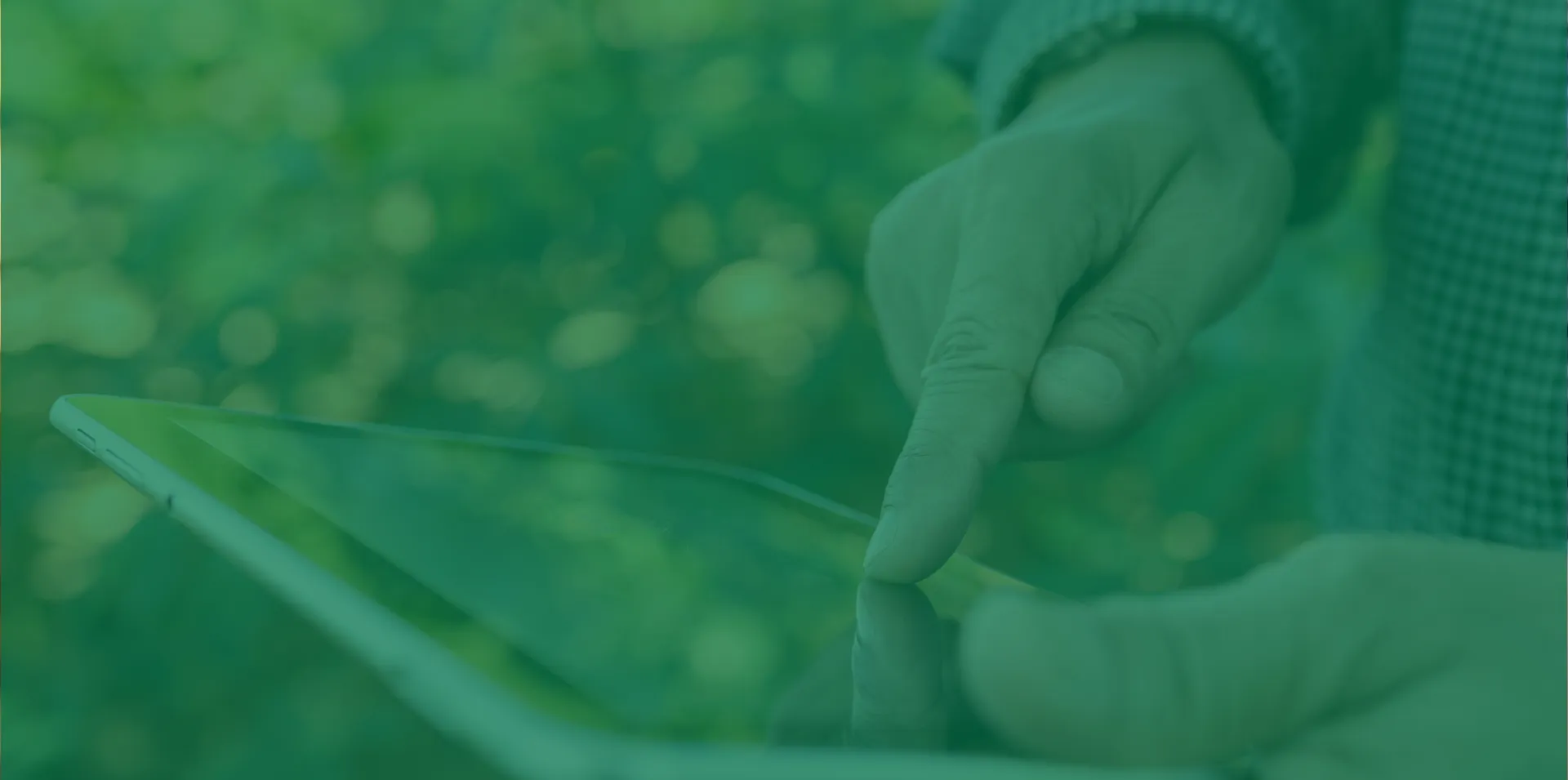 Connecter des opportunités