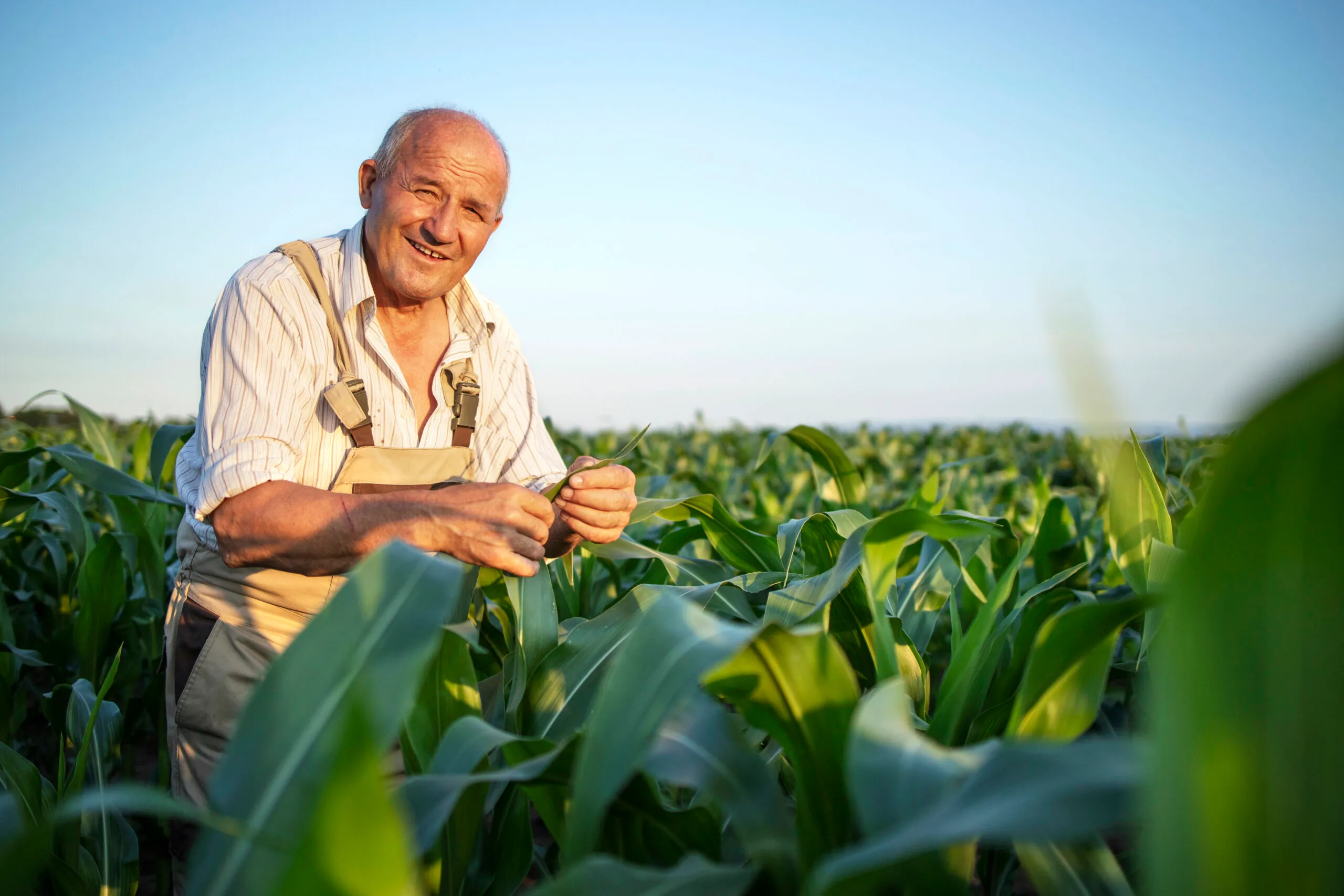 Subvenciones para agricultores: ¿Qué debes saber?