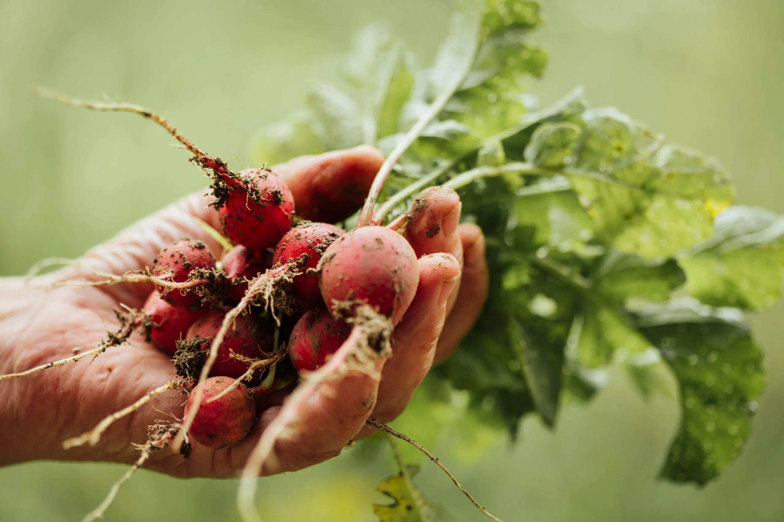 Futuro del agro