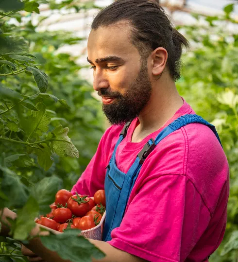 Control de producción de cosechas