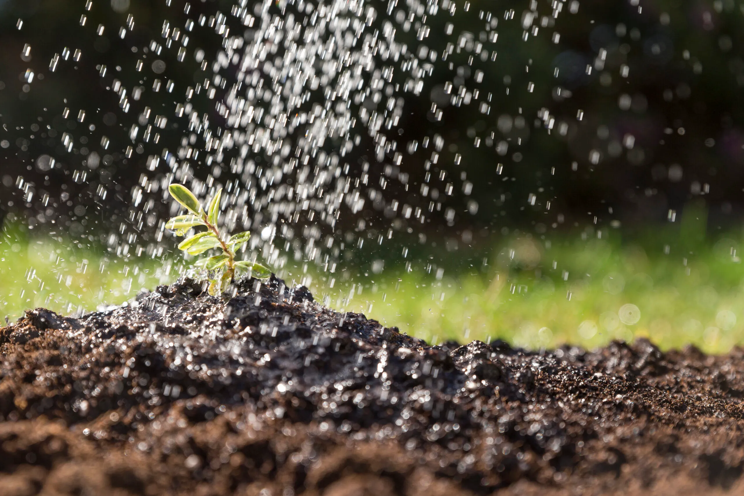 Ayudas para fertilizantes, 665 millones que se cobrarán este verano