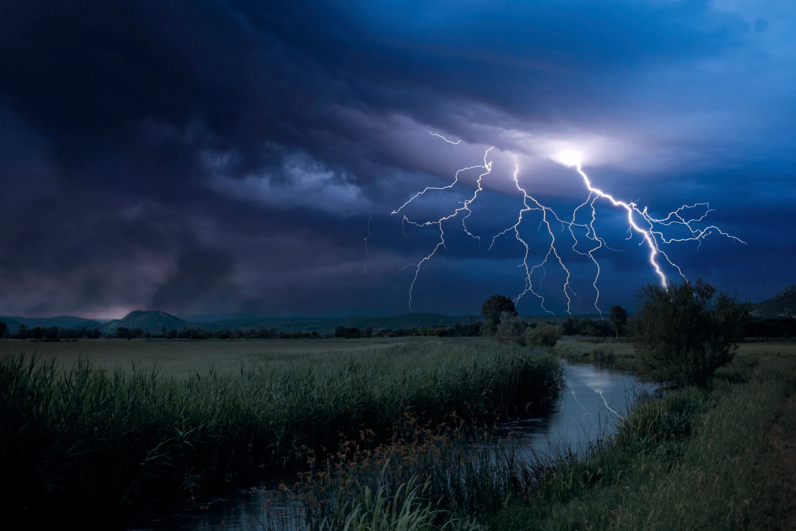 Daños a la agricultura por el temporal en Andalucía
