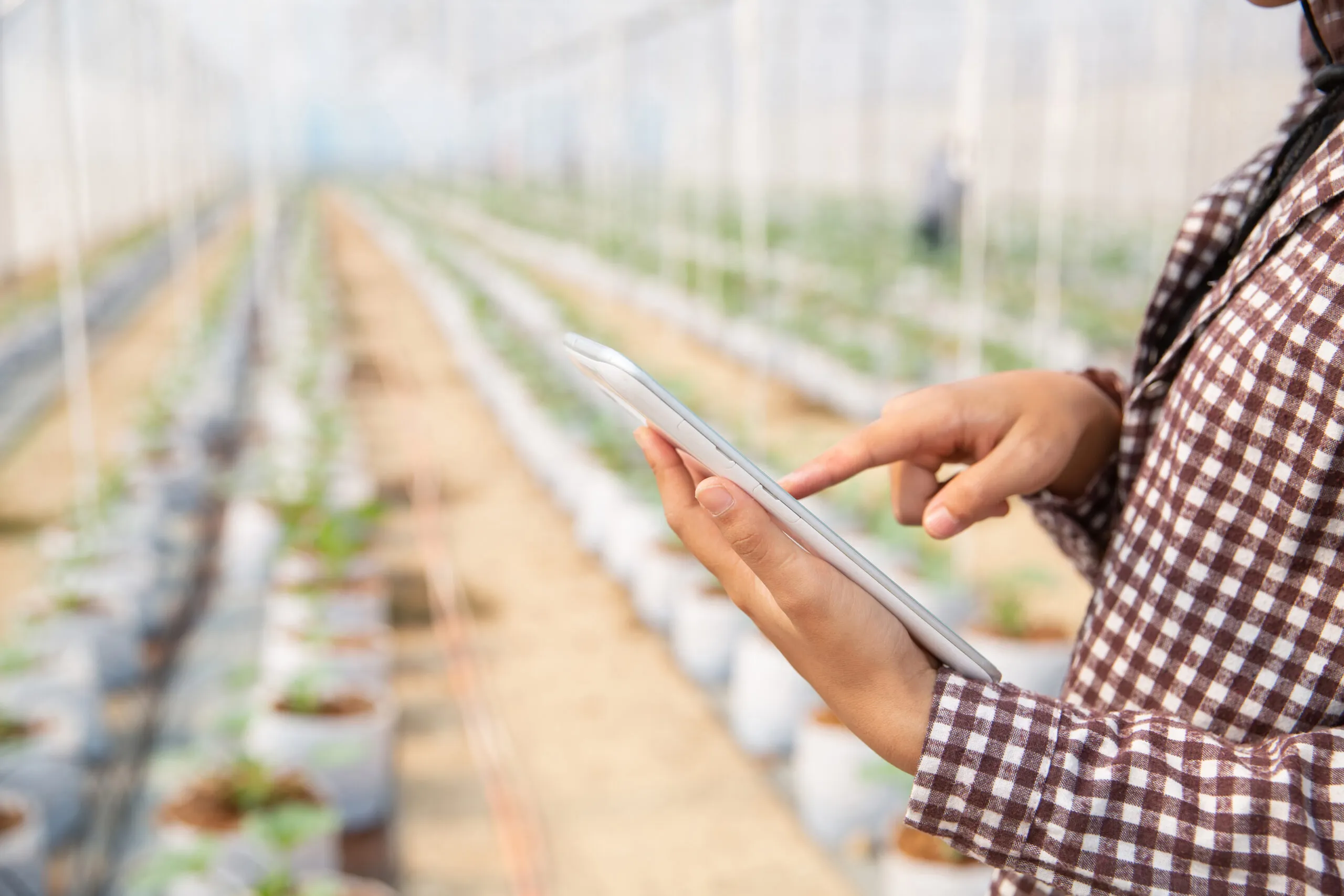 El MAPA destina 46,5 millones de euros a impulsar la innovación agrícola en España